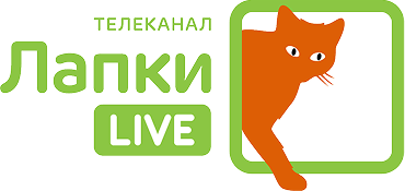 Лапки LIVE